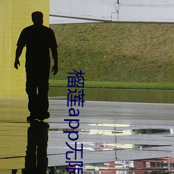 榴莲app无限(限)观看