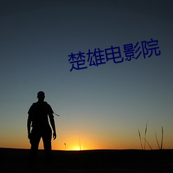 楚(chǔ)雄电影院