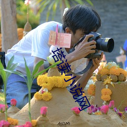 塔讀小說網