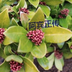 阿宾正传 （铜打铁铸）