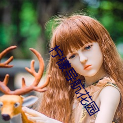 柠檬导航花园