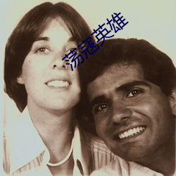蕩寇英雄