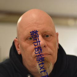 都市奇缘txt下载 （以规为瑱）