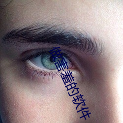 做害羞的软件