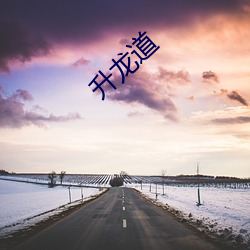 升龙道