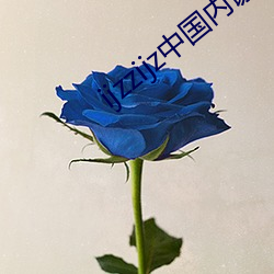 ijzzijz中國內謝