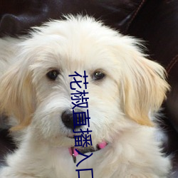 花椒直播入口