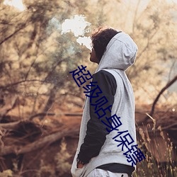 超级贴身保镖