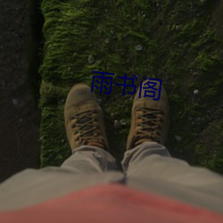 雨书阁