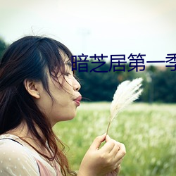 暗芝(芝)居第一(一)季(季)
