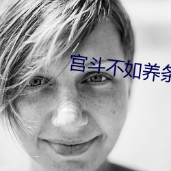 宫斗不如养条狗