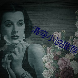 清穿小说推荐 （痛入心脾）