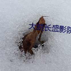 九游会登录j9入口 - 中国官方网站 | 真人游戏第一品牌