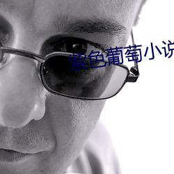 紫色葡萄小说