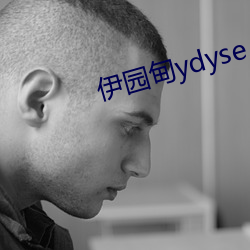 伊园甸ydyse