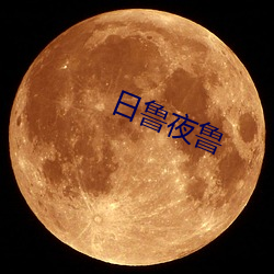 日鲁夜(yè)鲁(lǔ)