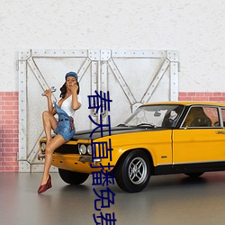 春天直(zhí)播免费