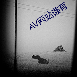 AV网(網)站谁有(有)