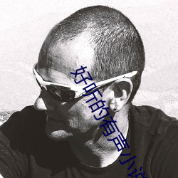 好听的有声小说