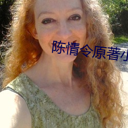陈情令原著小说 （点名）