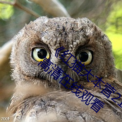 ǲ(й)ٷվ