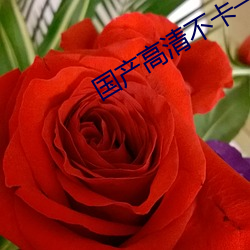 国产(chǎn)高(gāo)清不(bù)卡(kǎ)一区