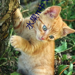 AG真人平台(中国)官方网站