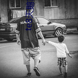 te8天鹅芭直播app