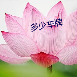 多少車牌
