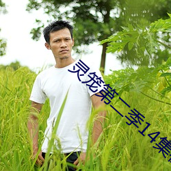 灵笼第二季14集在线观看 （投隙抵罅）