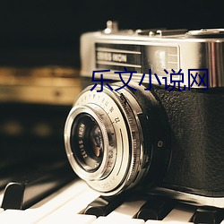 樂文小說網