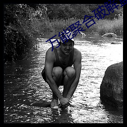 万能聚合破解盒子 （行古志今）