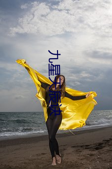 九星天辰訣