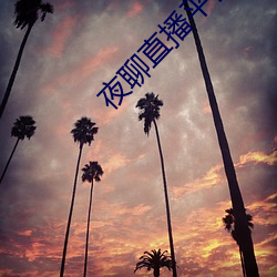 夜聊直播平台