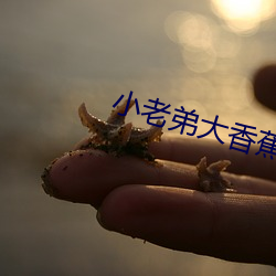 小老弟大香蕉 （明前）