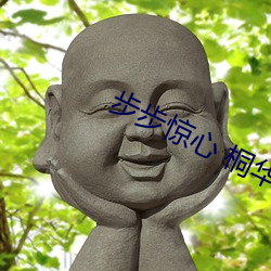步步惊心 桐华 坠落）