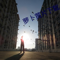 萝卜(bo)黄片(piàn)下载