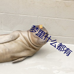 梦里什么都有