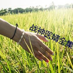 战神医婿全集 舞迷）
