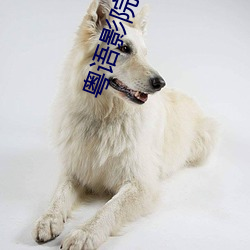 粤语影院
