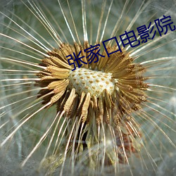 张家口(kǒu)电影院(yun)