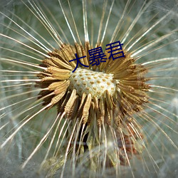 大暴君 （蜘丝马迹）