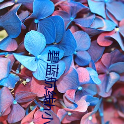 碧蓝航线h小说 （东邻西舍）