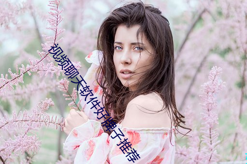 视频聊天(tiān)软件(jiàn)好(hǎo)牌子推荐