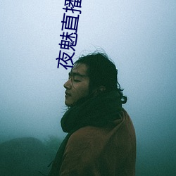 夜(夜)魅(魅)直播app