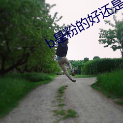 b是粉的好还是黑色好