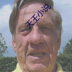 天王小说(shuō)