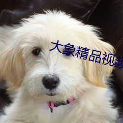 vwinӮ(й) - ٷվ