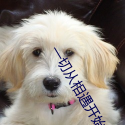 suncitygroup太阳集团--官方网站