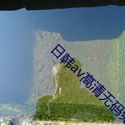 日韩av高(gāo)清无(wú)码免费
